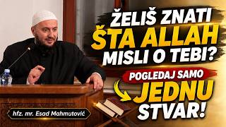 Želiš znati šta Allah misli o tebi? - hfz. mr. Esad Mahmutović