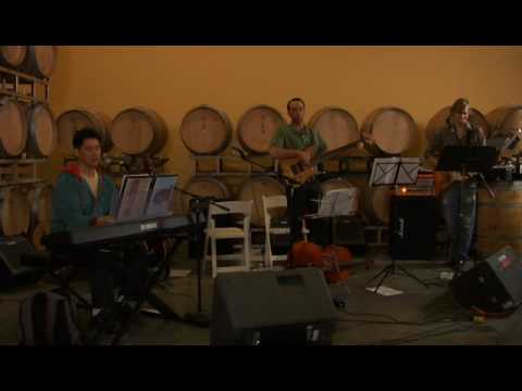 Video 3 of "Tapestries of Hope" Benefit at McGrail...