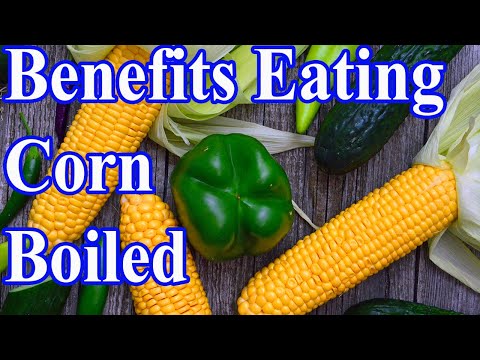 Benefits of Eating Corn Boiled? Why do many people choose corn?