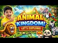 Animal Kingdom 🦁 | Let’s Explore Amazing Animals|