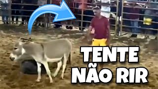 TENTE NÃO RIR: OS MELHORES VÍDEOS DA INTERNET #tentenaorir #comedia #videosengraçados #funny #tiktok