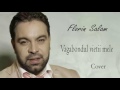 Florin Salam - Sunt vagabondul vietii mele [cover]