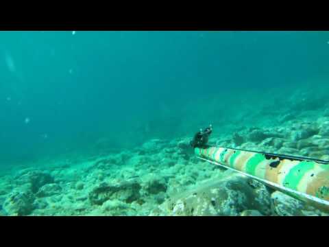 ψαροντουφεκο 2 7