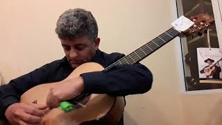 Video thumbnail of "Pájaro Campana guitarra"