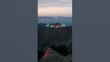 إِنَّ ٱللَّهَ ٱشۡتَرَىٰ مِنَ ٱلۡمُؤۡمِنِينَ...سورة الأنعام القارئ الشيخ محمد صديق المنشاوي #المنشاوي