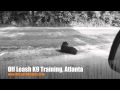 Holding Position Even While Driving Away! | Dog Training Atlanta Holding Position Even While Driving Away! | Dog Training Atlanta
