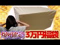 【ガンプラ福袋】駿河屋のSEED3万円福袋を開封した結果...ずっと欲しかったゼウスシルエットはゲットなるか!?