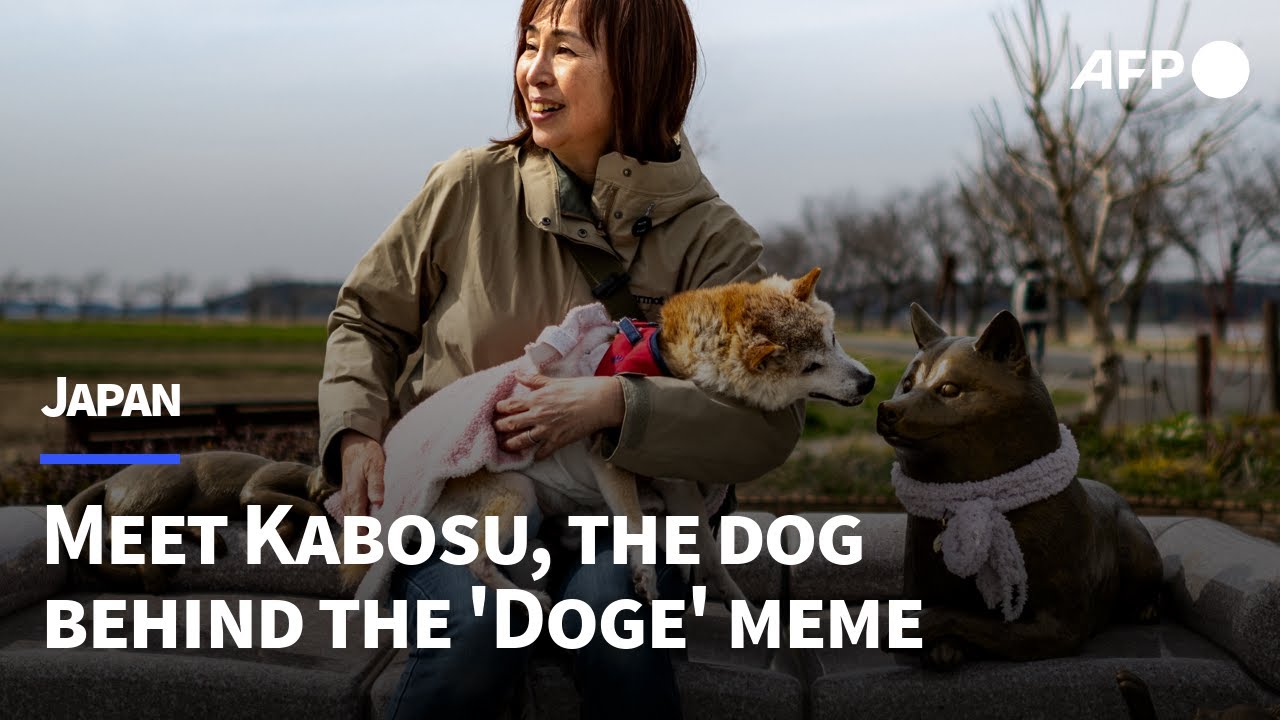 Doge in 70 Languages Meme