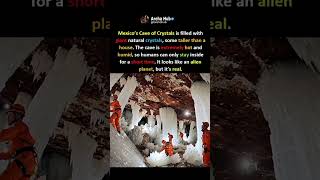 Mexico Crystal cave is filled with natural crystals and some are taller than a house #shorts