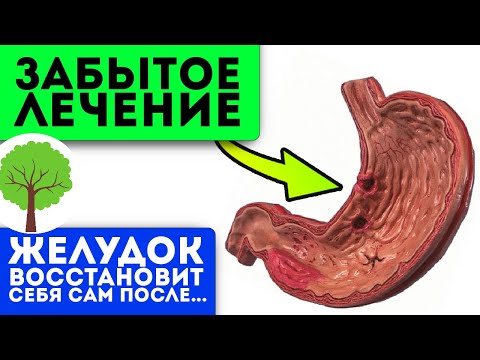 Старенькая бабушка-знахарка посоветовала! Даже хронический гастрит боится настоя из…