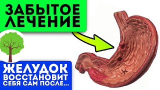 Старенькая бабушка-знахарка посоветовала! Даже хронический гастрит боится настоя из…