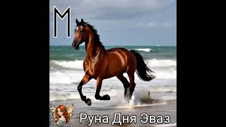 Руна Дня Эваз на 19.06.2025г
