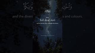 Download Lagu Ayah 22 #arRum #minshawi #quran #signs #ayah #quranrecitation #egypt #المنشاوي #sheikh #makkah MP3