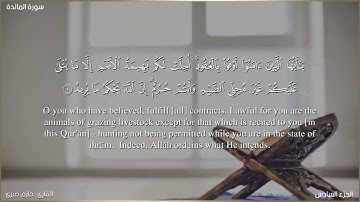 ما تيسر من سورة المائدة القارئ حازم صبرى | صلاة التراويح  | مسجد الجمل | رمضان 1444