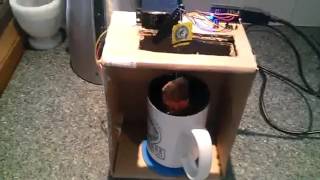 Arduino Powered Tea Maker Prototype V1 Low