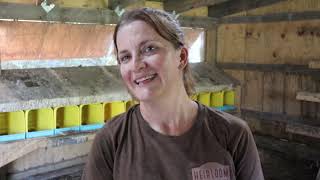 How to Increase Egg Production from Chickens | 3 Tips For MORE EGGS from Laying Hens 3 Tips To Get More Eggs From Your Chickens