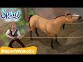 Spirit Rescued in the Cliffs | DREAMWORKS SPIRIT RIDING FREE