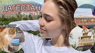 #ВЛОГ | Поездка в Дагестан #часть1