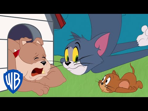 Tom & Jerry | Getting Rid of the Bad Tooth | WB Kids