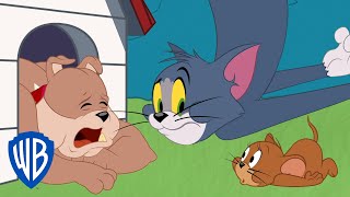 Tom & Jerry | Getting Rid of the Bad Tooth | WB Kids Resimi
