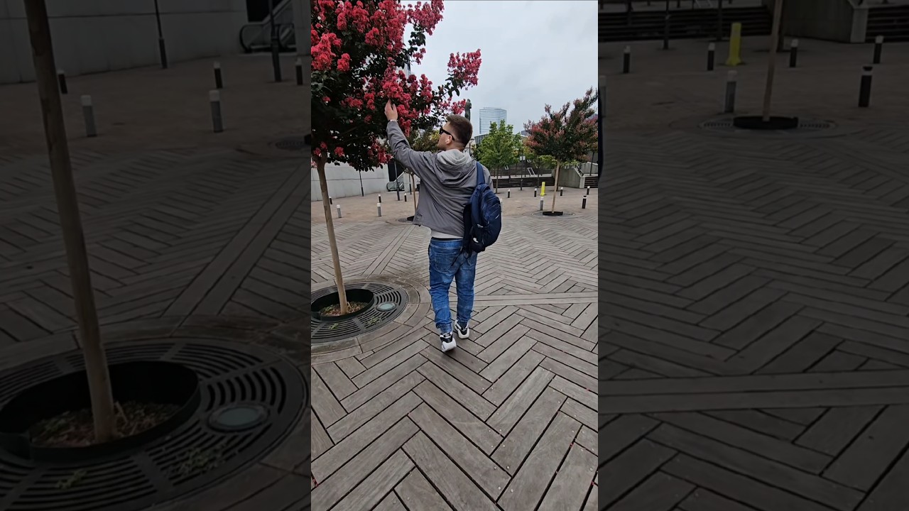 Blooming paradise 🌸🌿 among glass and concrete 🏙️. La Défense, Paris🇨🇵 