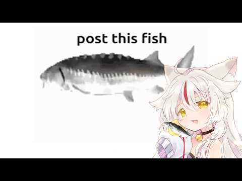 [how to fish] everything hurts