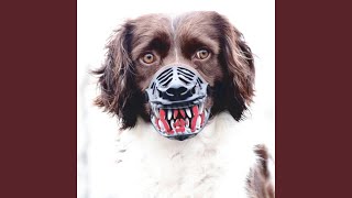 Bad Dog