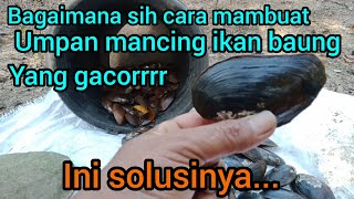 Cara Membuat Umpan Dari Kerang Air tawar/Kijing II Edisi Mancing Baung