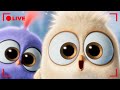🔴 LIVE Angry Birds Party | Non-Stop Hatchling Fun! 🍭