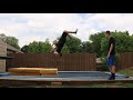 TRYING TO TEACH MY FRIEND A BACKFLIP!