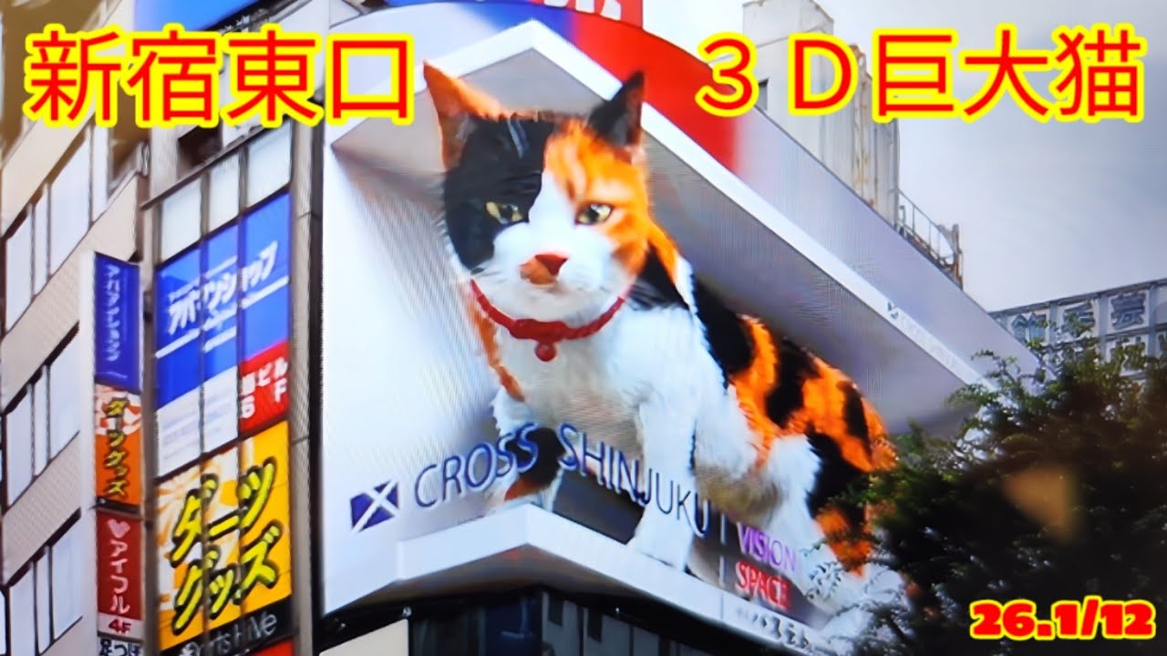新宿3D巨大猫26.1/12