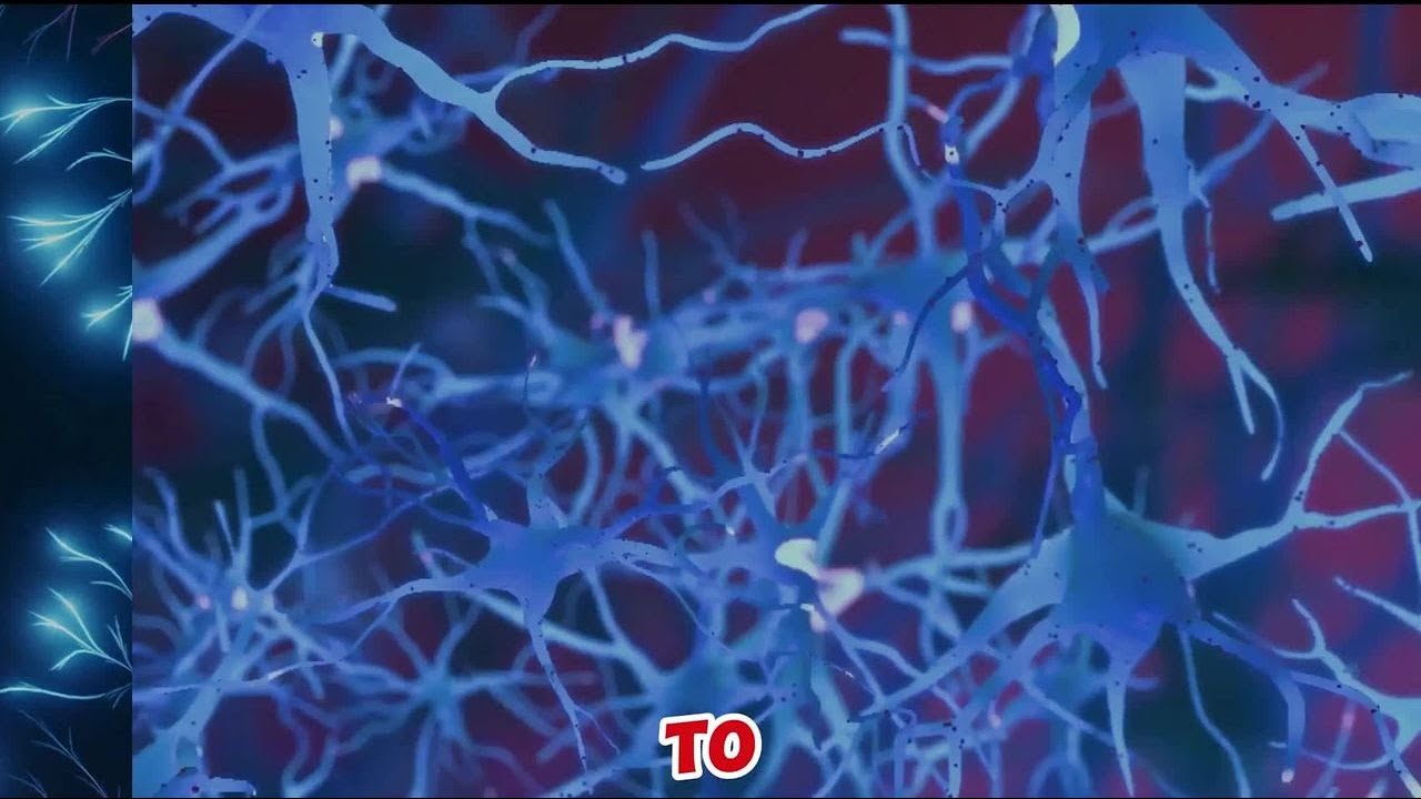 How the Habit Loop Works - Rewire Your Brain for Success! - YouTube