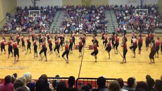 2015 Freshman Peprally