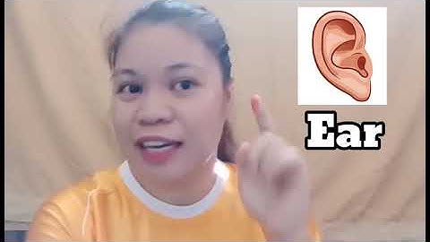 Phonics Alphabet A to J (Batch 12 Group 8)Netwerx Online Final Demo