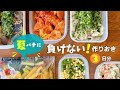 【作り置き】夏バテに効く！大人も子どもも喜ぶおかずレシピ3日分