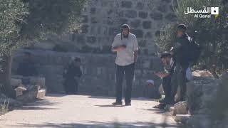 مستوطنون يؤدون طقوساً تلمودية وصلوات أثناء اقتحامهم المسجد الأقصى