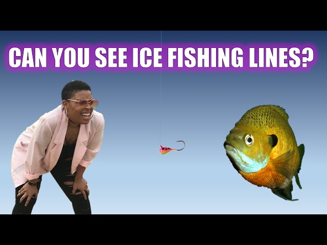 Best Ice Fishing Lines: Which is more invisible? 