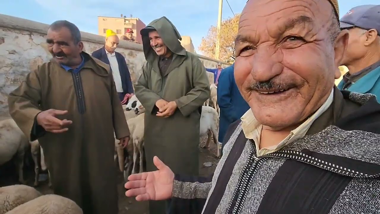 خيرات موجودة في سوق الأسبوعي تلات لولاد نقدم لكم أتمنة  نعجة 🐑