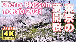 Discover Nippon Youtube