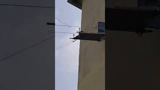 Rescue training #today #viral # trending video#ytshort