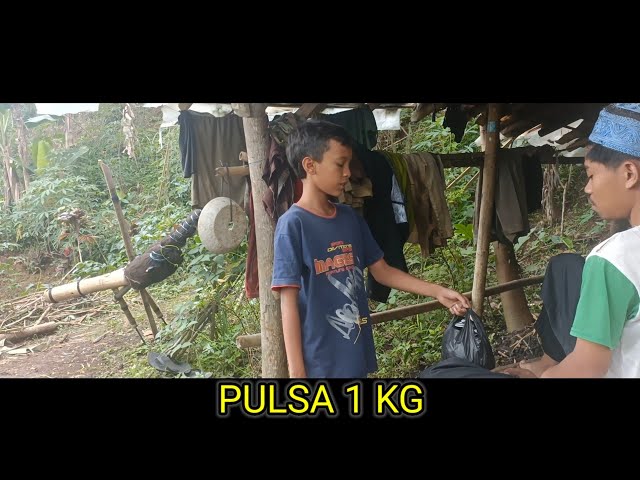 PERKARA BELI PULSA class=