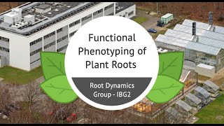 Functional Phenotyping of Plant Roots to Achieve Sustainable Crop Production