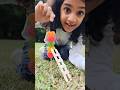 Creative photography ideas 📸 Miniature photography using Gummies