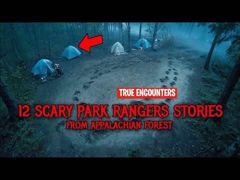 The 12 Darkest Appalachian Forest Park Ranger Horror Stories Ever Told 
