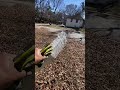 Leaf Clean Up