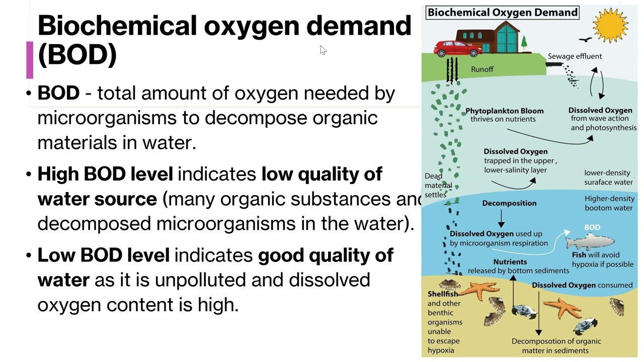 KSSM Form 5 Biology Chapter 10 Evironemental Sustainability (Updated) part 2