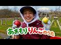 クマガイオウスケ「あおもりりんごのうた」MUSIC VIDEO