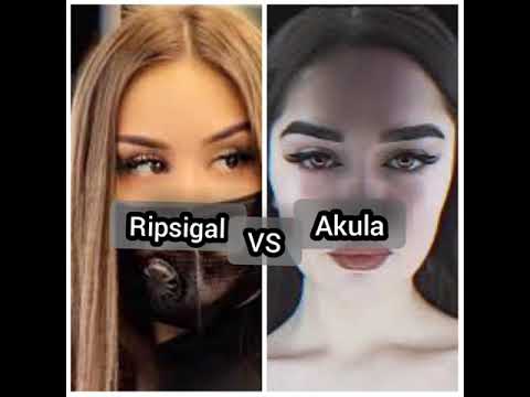 ripsigal 🐺 VS Akula 🦈.                          commentaires : 1 ripsigal. 2 akula