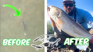I used my DJI Drone to find HUGE Redfish