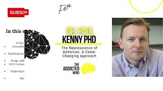 Episode 251: The Neuroscience of Addiction: A Game-Changing Approach with Dr. Paul Kenny